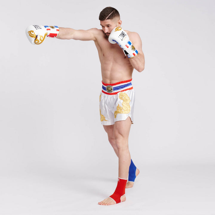 THAI STYLE BOXING GLOVES