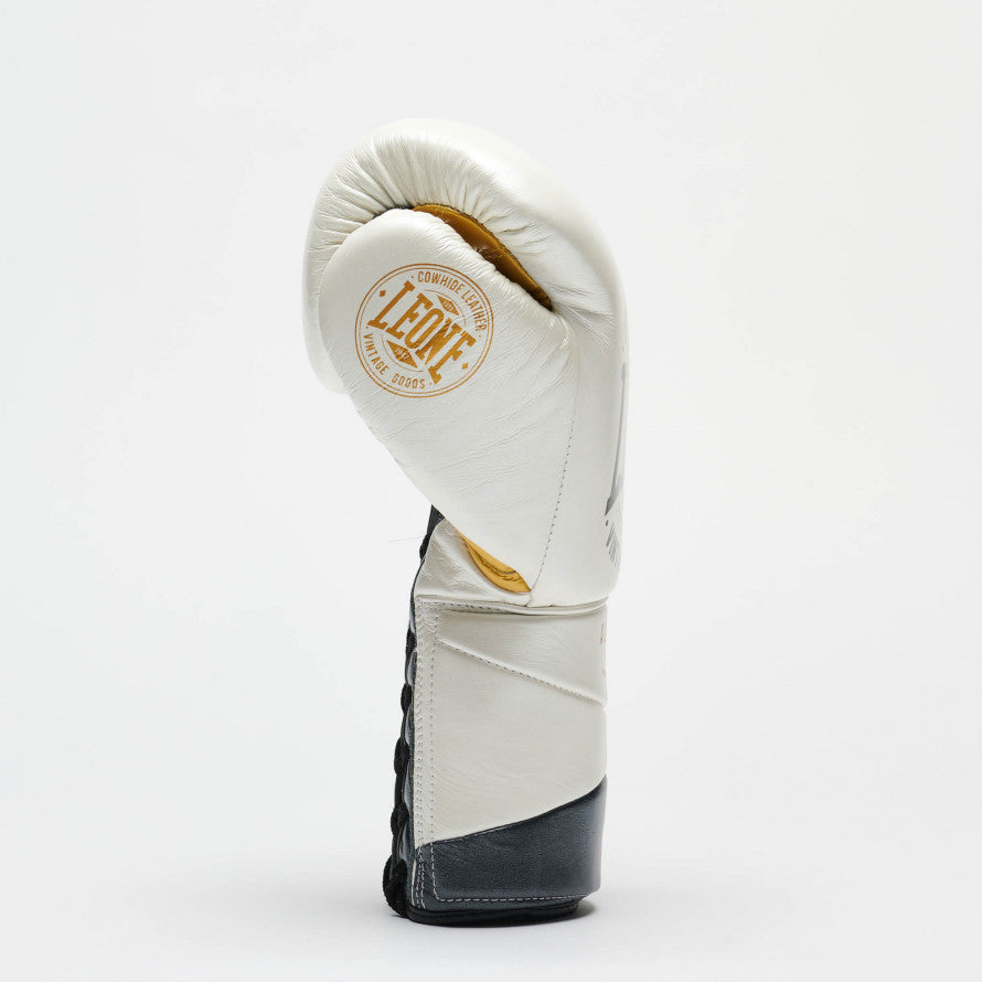 AUTHENTIC 2 BOXING GLOVES