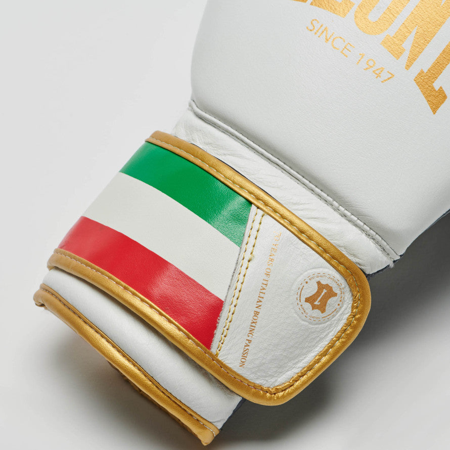 ITALY 47 BOXING GLOVES