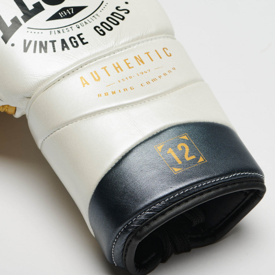 AUTHENTIC 2 BOXING GLOVES