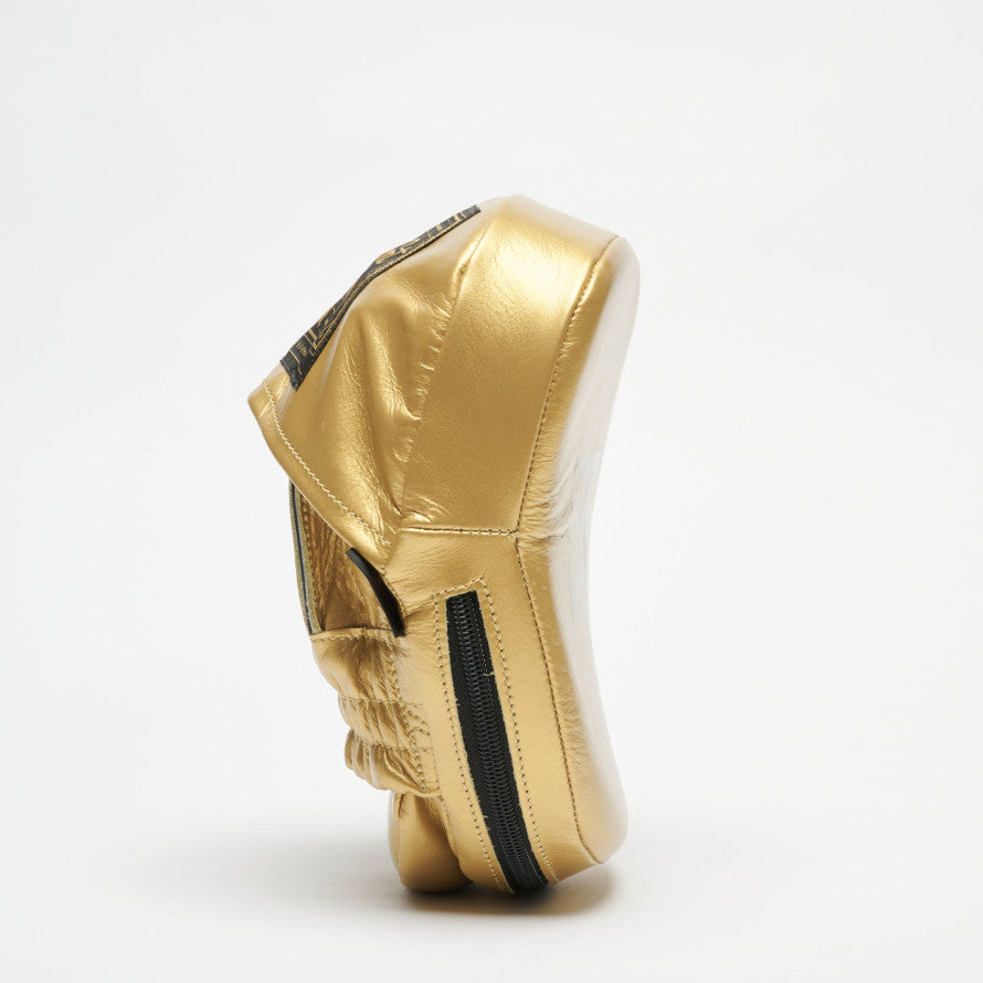 ARISTOTELE CLASSICO CURVED PUNCH MITTS