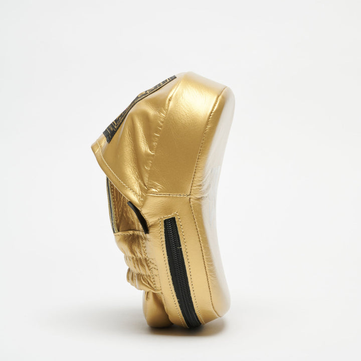 ARISTOTELE CLASSICO CURVED PUNCH MITTS