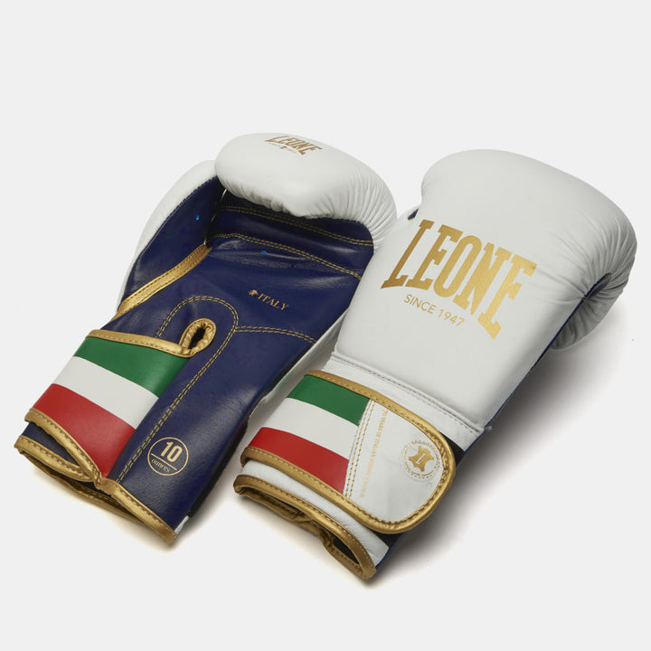 ITALY 47 BOXING GLOVES