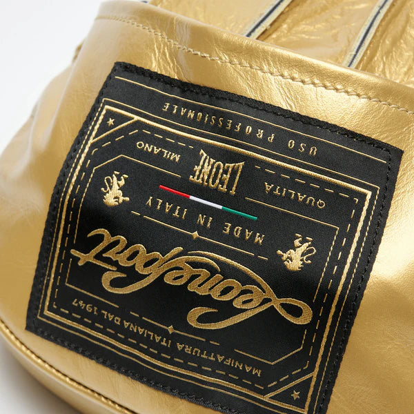 ARISTOTELE CLASSICO CURVED PUNCH MITTS