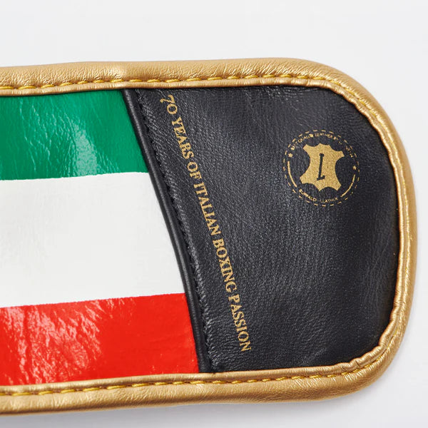 ITALY 47 BOXING GLOVES