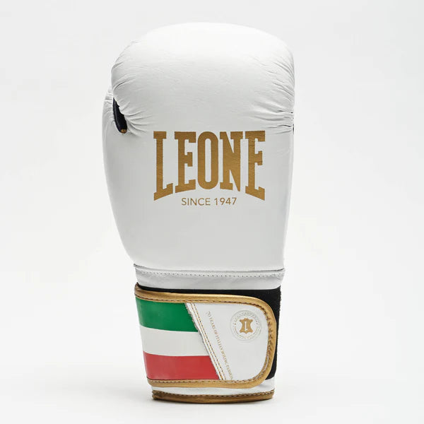 ITALY 47 BOXING GLOVES