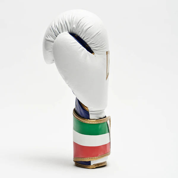 ITALY 47 BOXING GLOVES