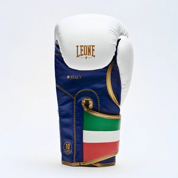 ITALY 47 BOXING GLOVES