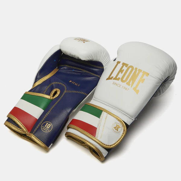 ITALY 47 BOXING GLOVES