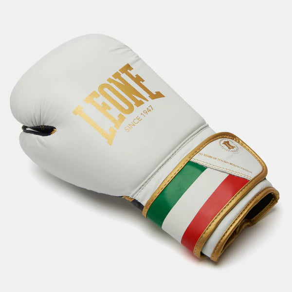 ITALY 47 BOXING GLOVES