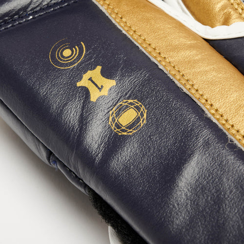 SHOCK X BOXING GLOVES