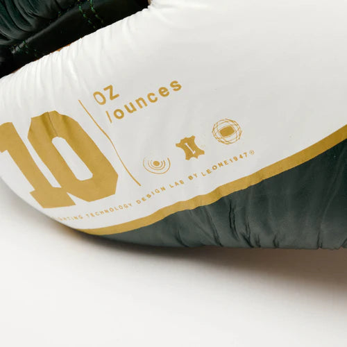 SHOCK X BOXING GLOVES