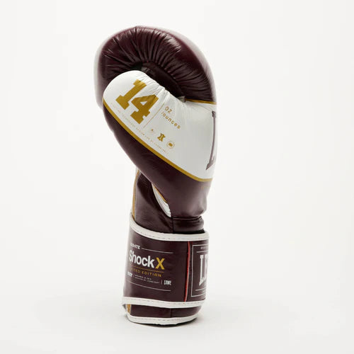 SHOCK X BOXING GLOVES