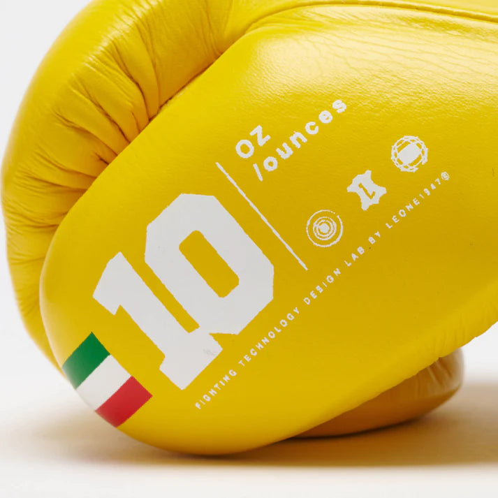 SHOCK PLUS FIGHTING BOXING GLOVES