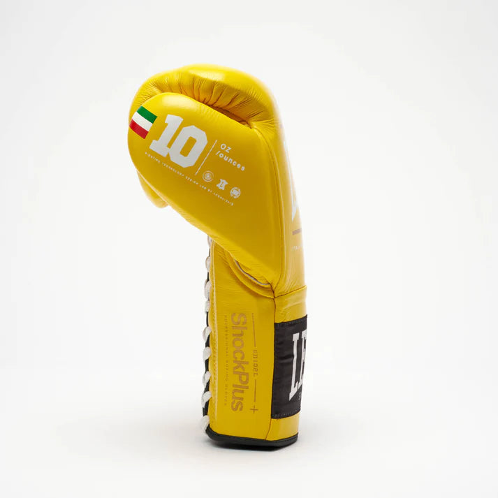 SHOCK PLUS FIGHTING BOXING GLOVES