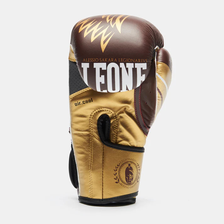 LEGIONARIVS BOXING GLOVES