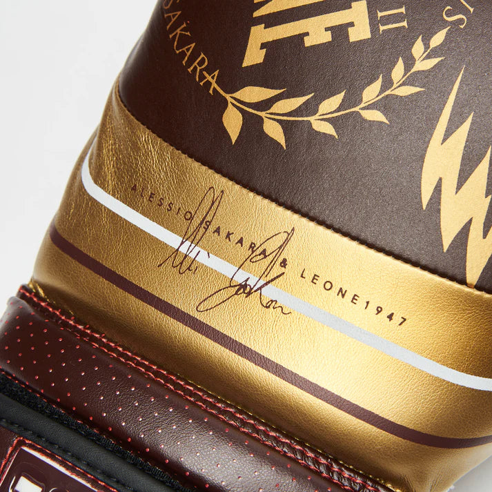 LEGIONARIVS BOXING GLOVES