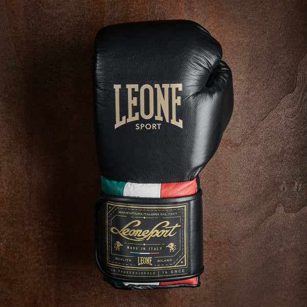 Orlando Tricolor boxing gloves velcro