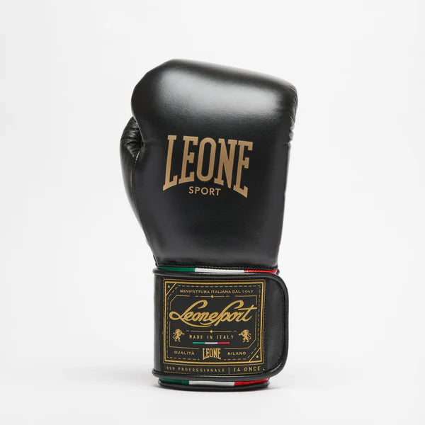 Orlando Tricolor boxing gloves velcro