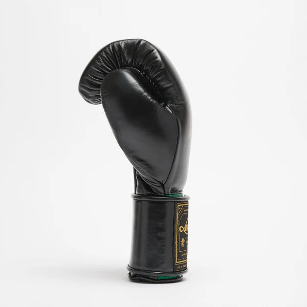 Orlando Tricolor boxing gloves velcro
