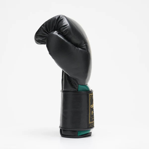Orlando Tricolor boxing gloves velcro