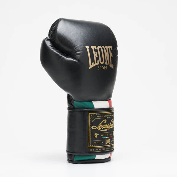 Orlando Tricolor boxing gloves velcro
