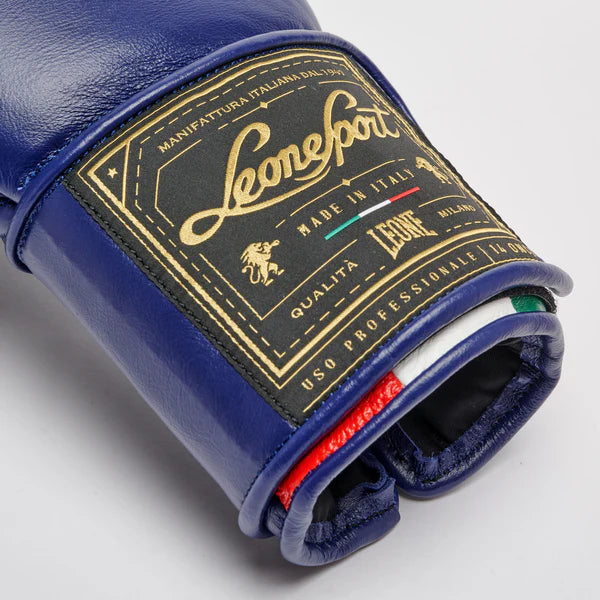 Orlando Tricolor boxing gloves velcro