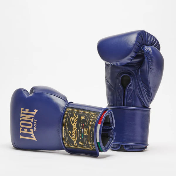 Orlando Tricolor boxing gloves velcro