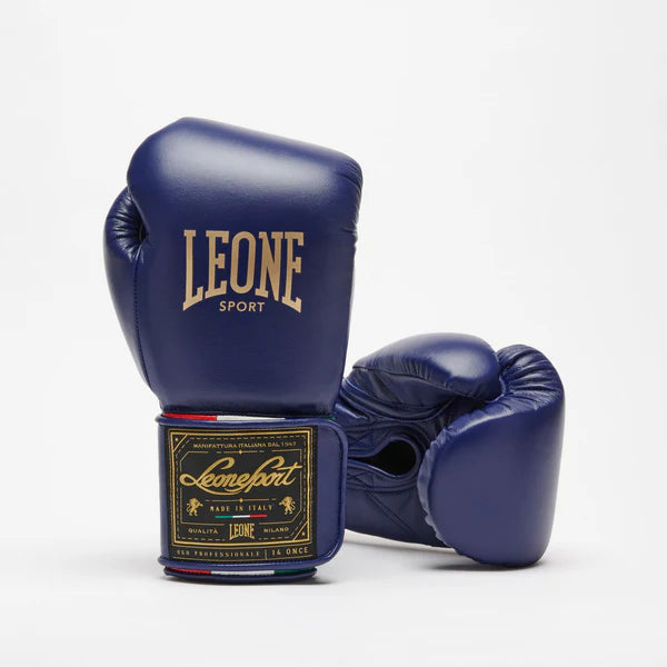 Orlando Tricolor boxing gloves velcro