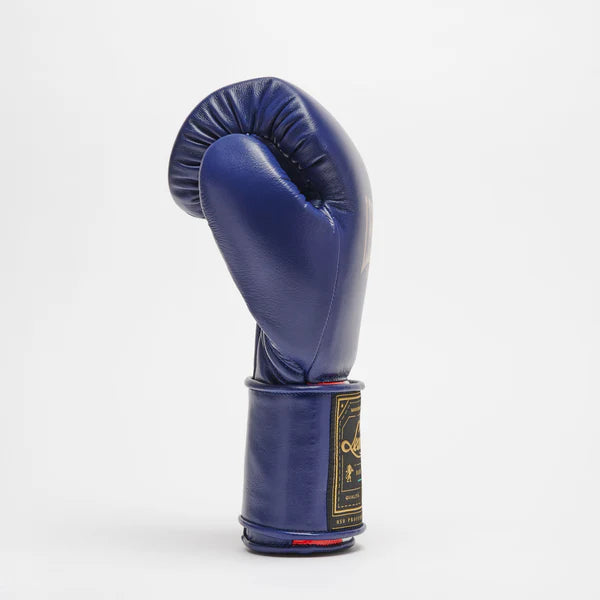 Orlando Tricolor boxing gloves velcro