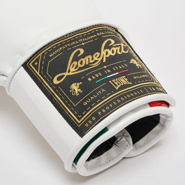Orlando Tricolor boxing gloves velcro