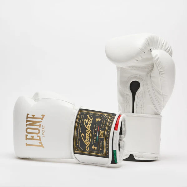 Orlando Tricolor boxing gloves velcro