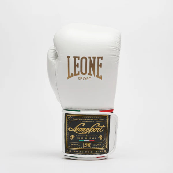 Orlando Tricolor boxing gloves velcro