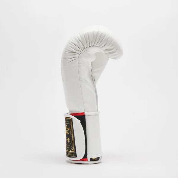 Orlando Tricolor boxing gloves velcro