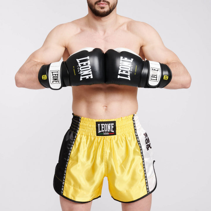 IL TECNICO N3 BOXING GLOVES