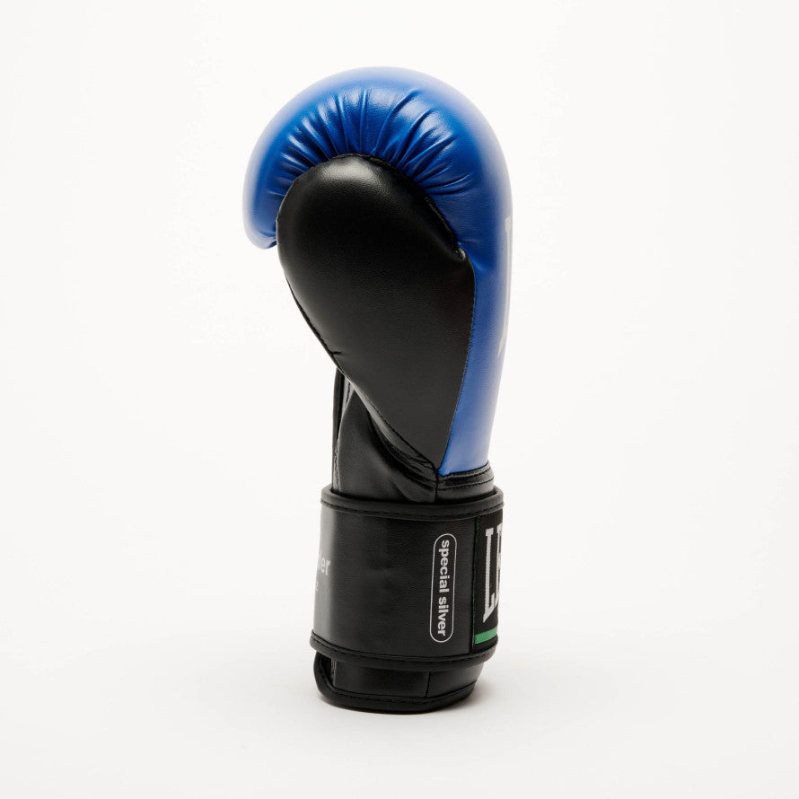 THUNDER BOXING GLOVES