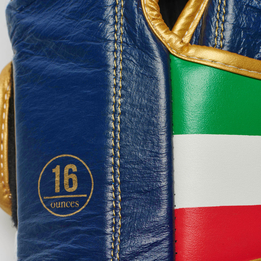 ITALY 47 BOXING GLOVES