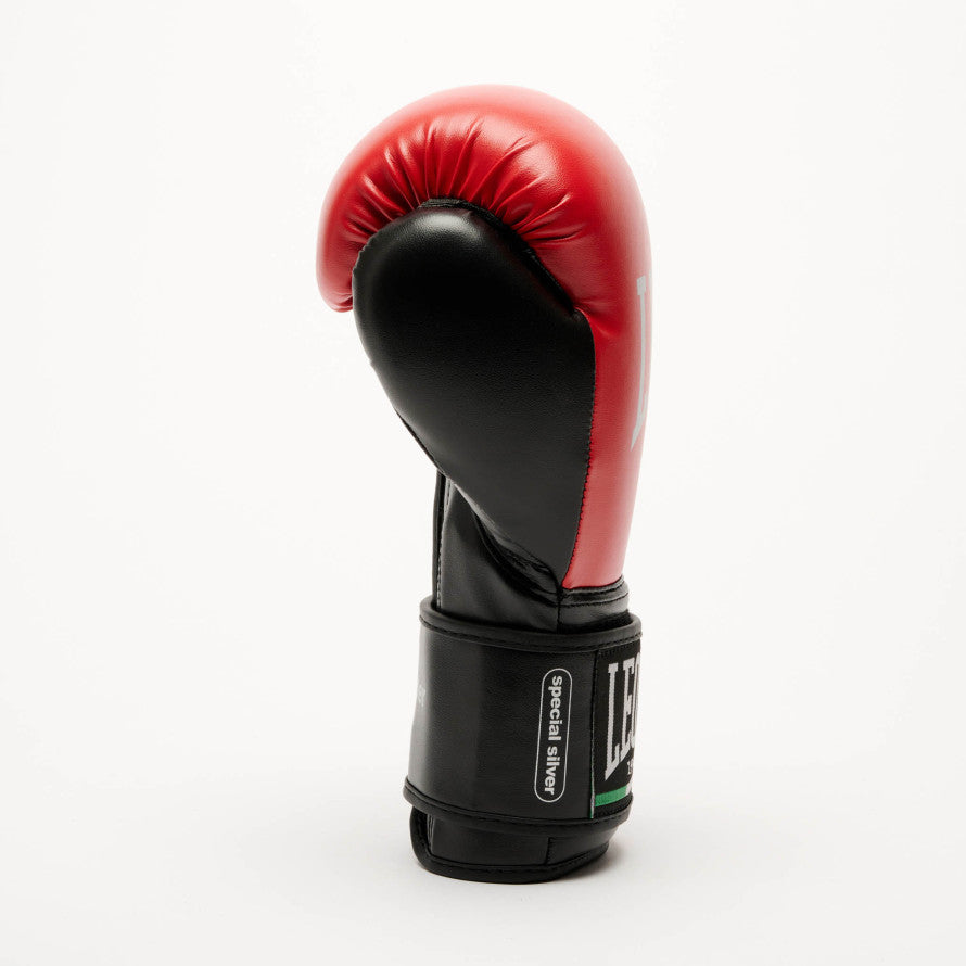 THUNDER BOXING GLOVES