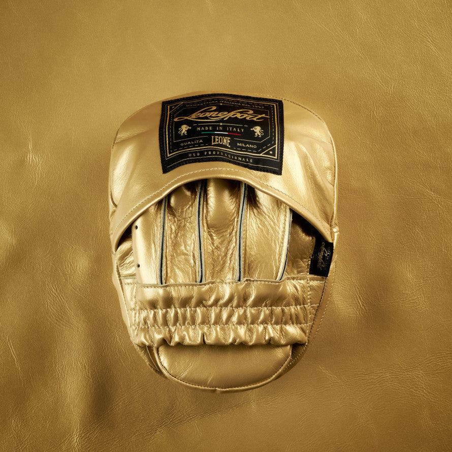 ARISTOTELE CLASSICO CURVED PUNCH MITTS