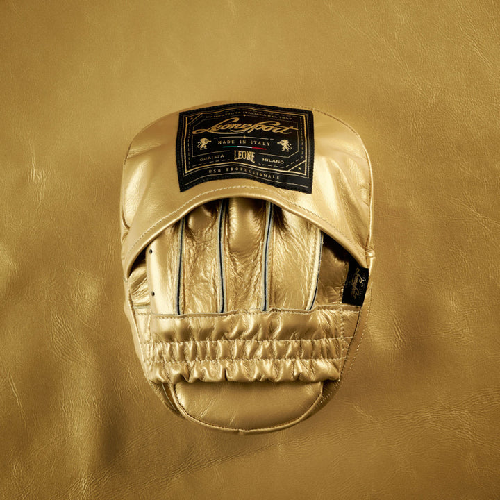 ARISTOTELE CLASSICO CURVED PUNCH MITTS