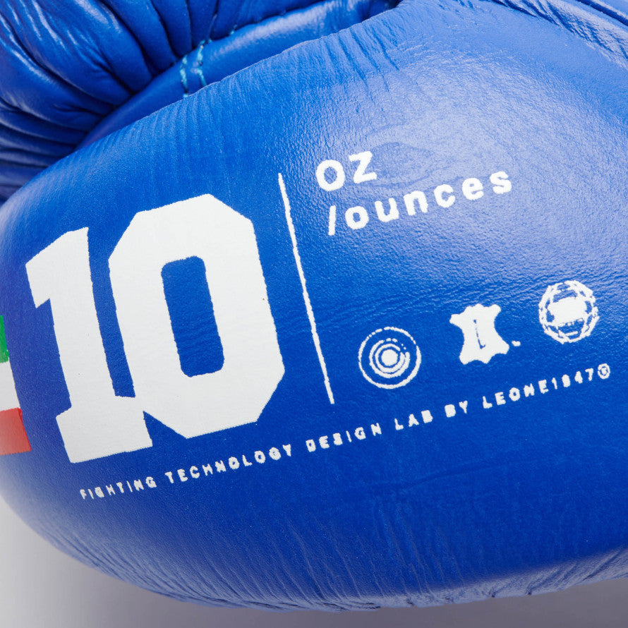 SHOCK PLUS FIGHTING BOXING GLOVES