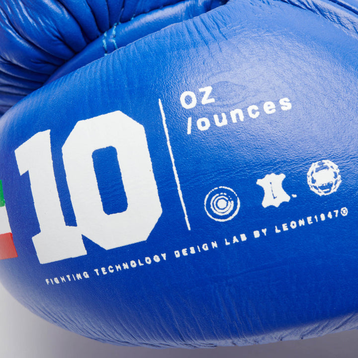 SHOCK PLUS FIGHTING BOXING GLOVES