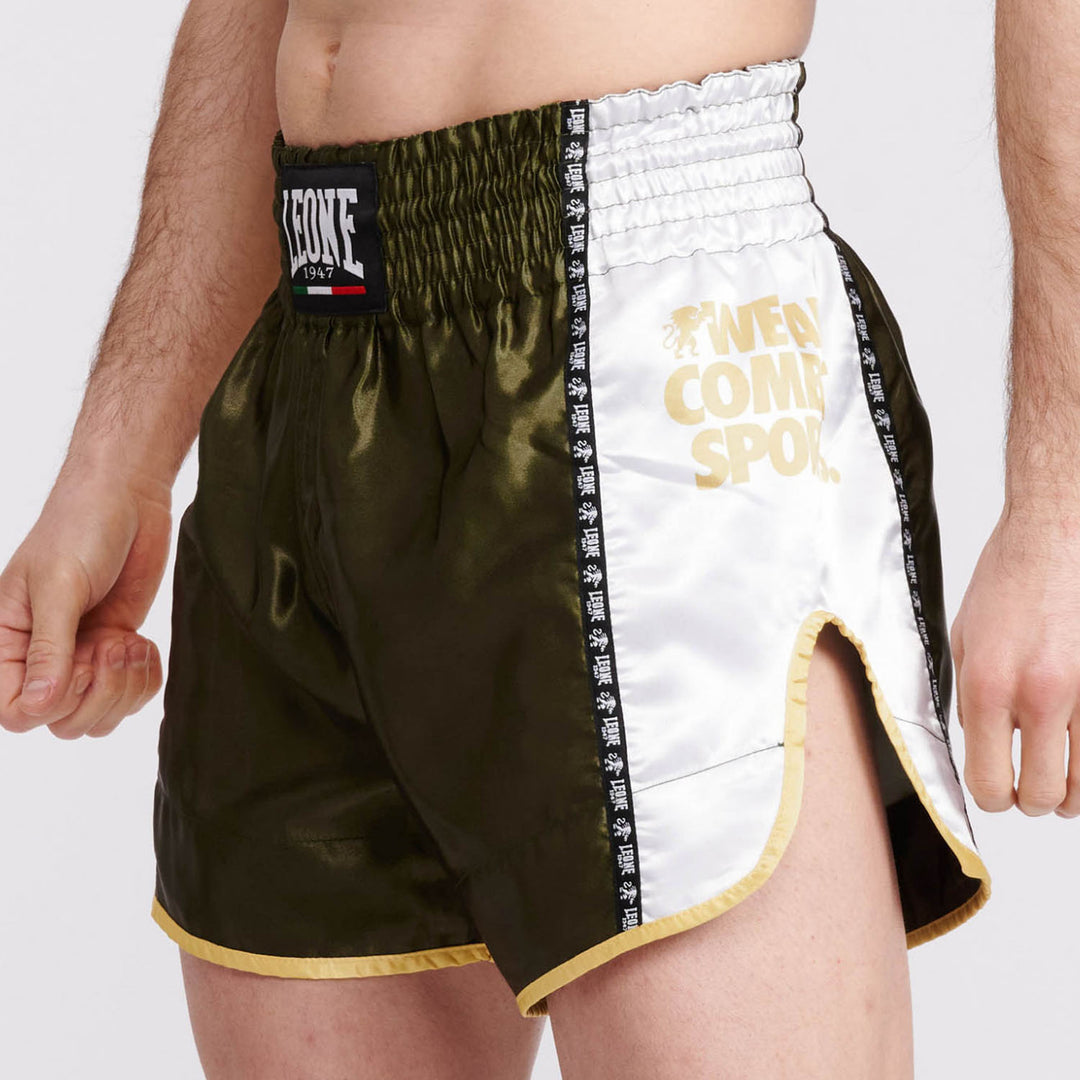 TRAINING/FIGHTING THAI SHORTS
