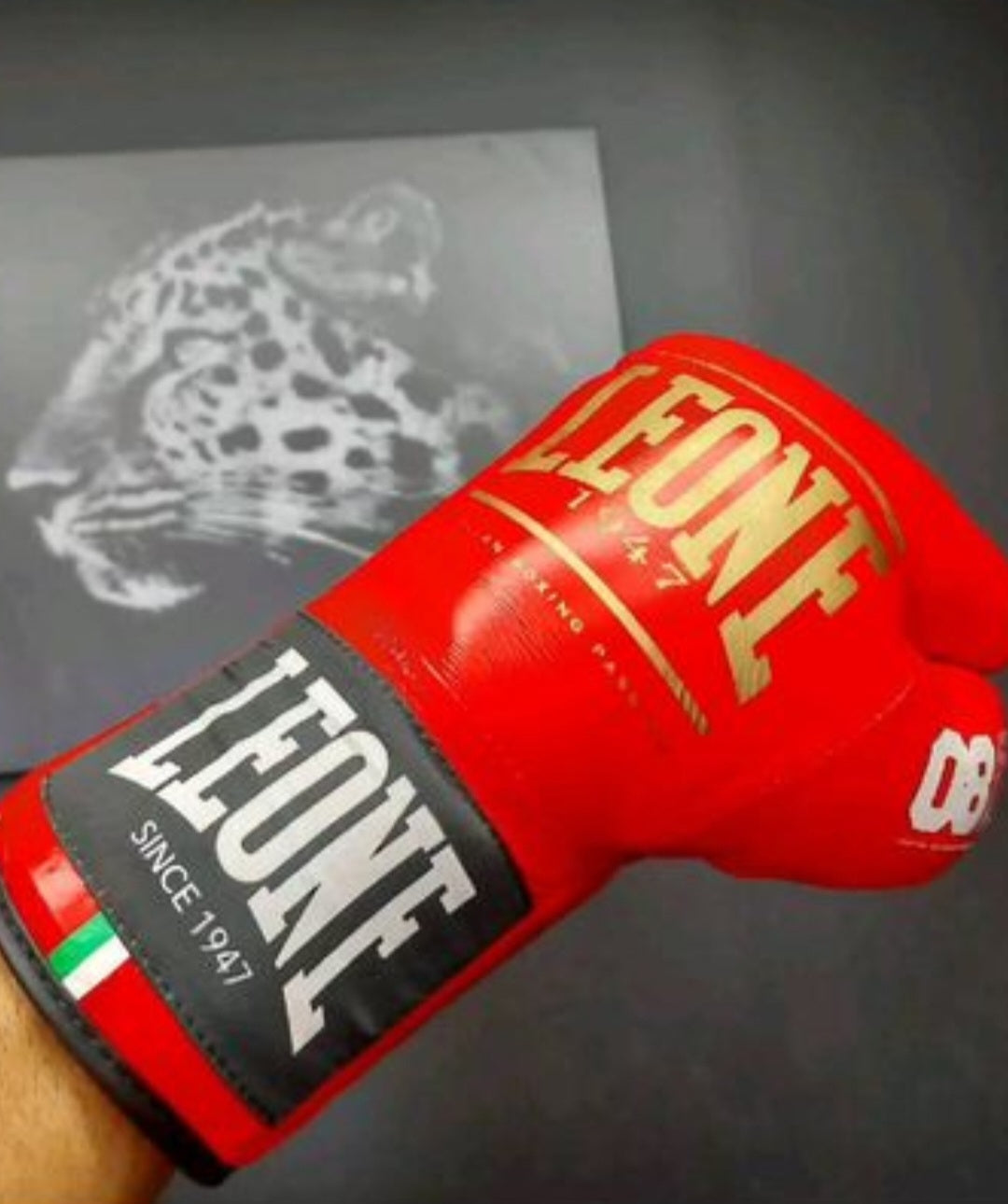 SHOCK PLUS FIGHTING BOXING GLOVES