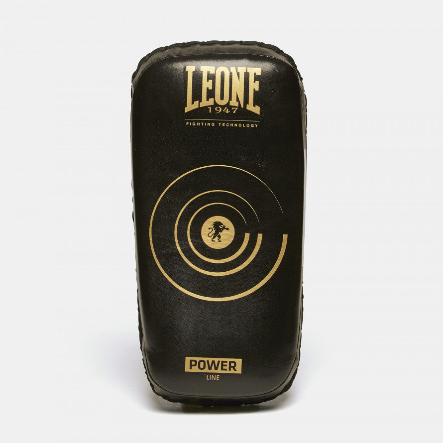 PUNCH AND KICK MITTS